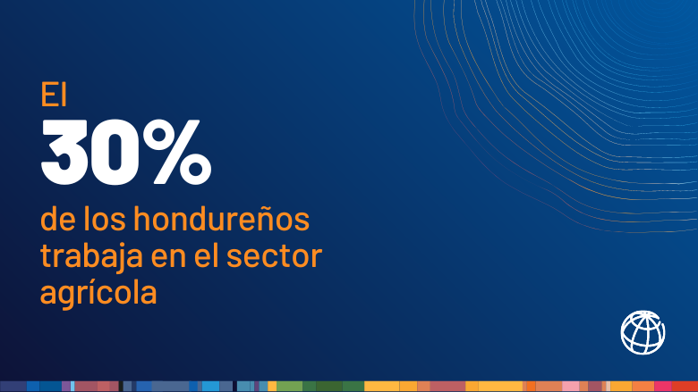 El 30 por ciento de hondureños trabaja en el sector agrícola